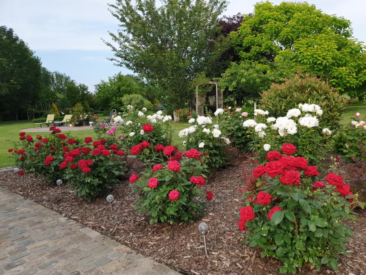 B&B Secret Garden Adults Only Fourons Extérieur photo